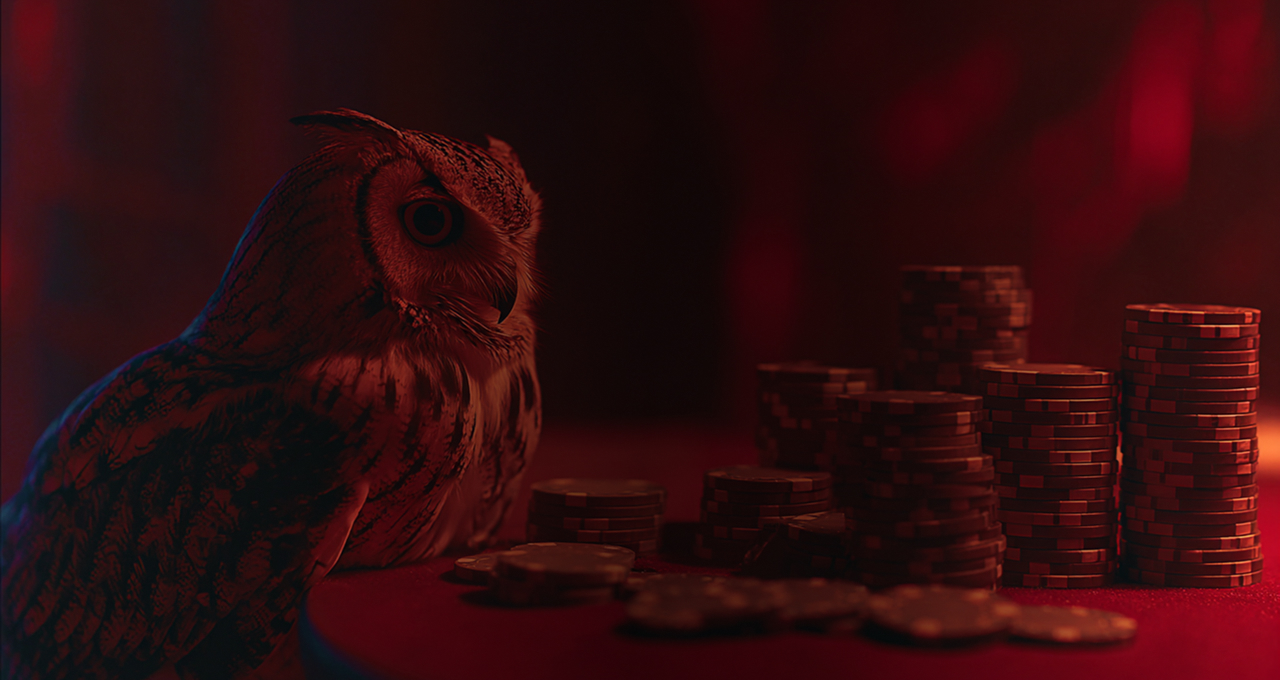 Lucky Owl Club Casino