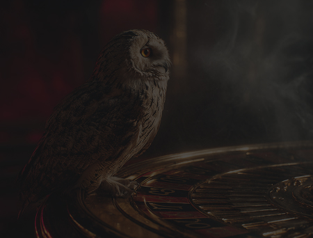 Lucky Owl Club Casino