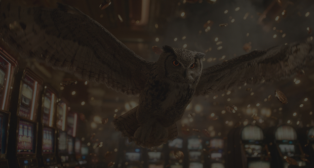 Lucky Owl Club Casino